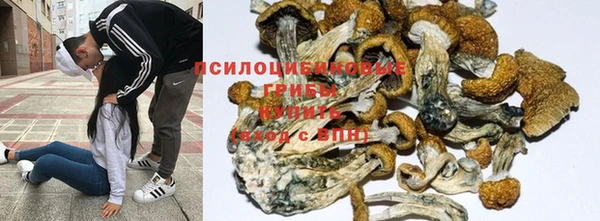 синтетический гашиш Арсеньев