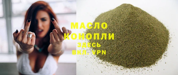 тгк Снежинск