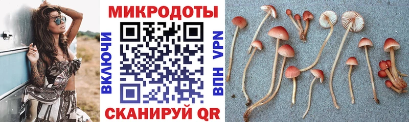блэк спрут ссылки  Волхов  Галлюциногенные грибы GOLDEN TEACHER 