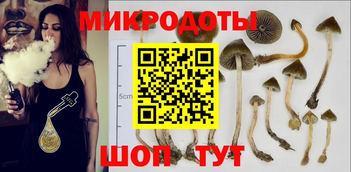 Псилоцибиновые грибы GOLDEN TEACHER Волхов