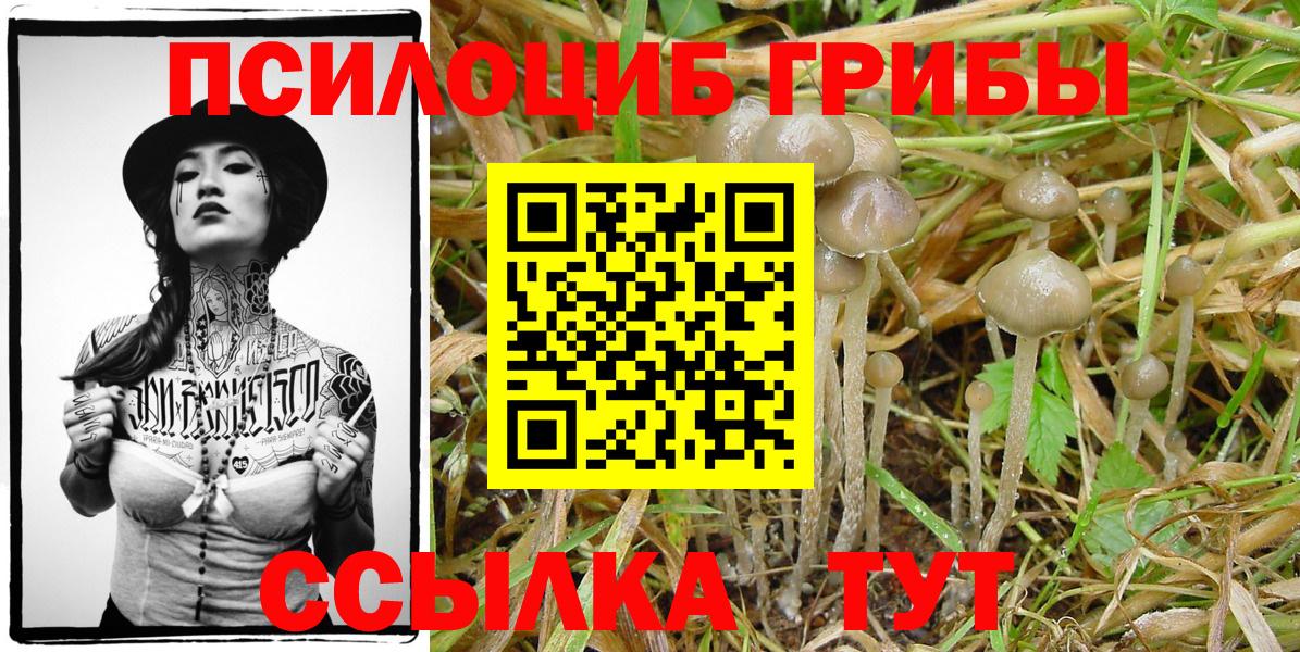 Галлюциногенные грибы Cubensis  Вход с VPN  купить закладку  Псилоцибиновые грибы MAGIC MUSHROOMS  Волхов 